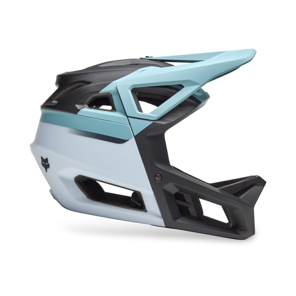 Proframe Helmet