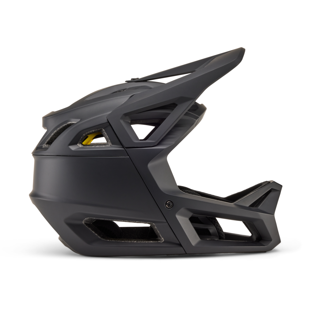 Proframe Helmet